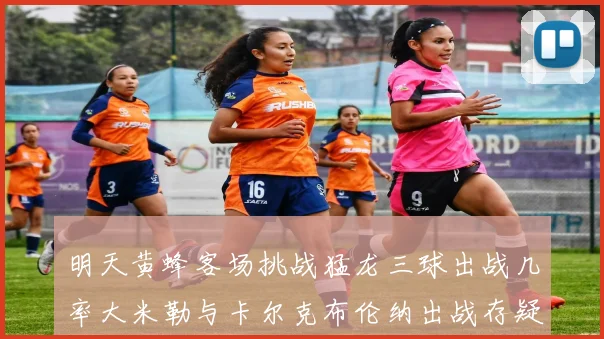 明天黄蜂客场挑战猛龙三球出战几率大米勒与卡尔克布伦纳出战存疑