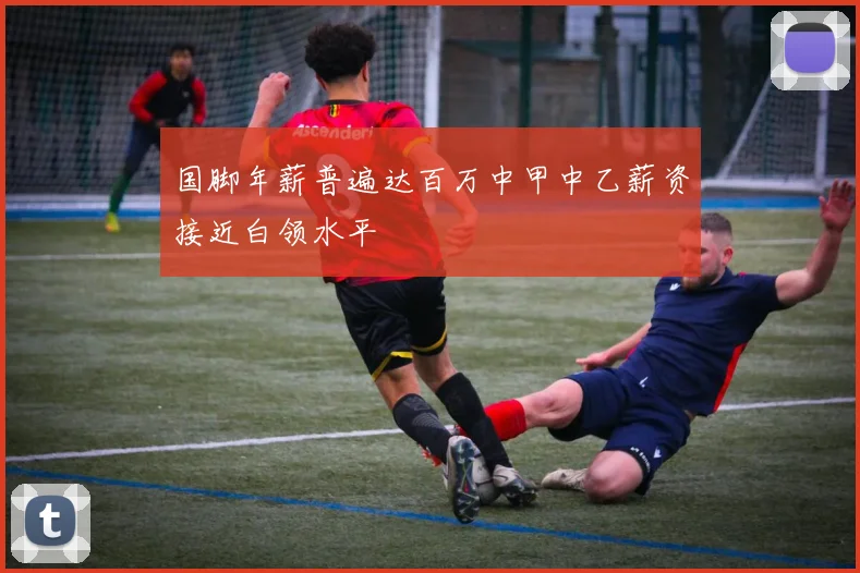 国脚年薪普遍达百万中甲中乙薪资接近白领水平