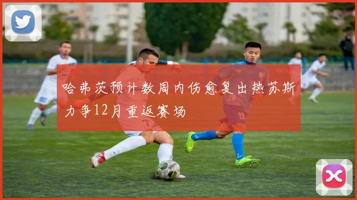 哈弗茨预计数周内伤愈复出热苏斯力争12月重返赛场