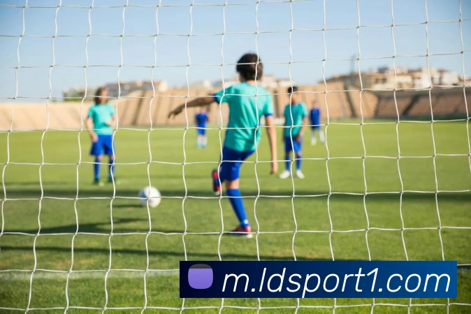 乐动足球品牌故事