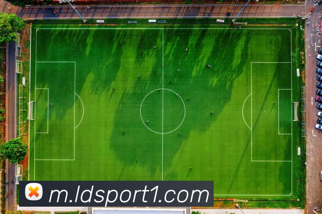 乐动足球服务体系