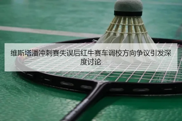 维斯塔潘冲刺赛失误后红牛赛车调校方向争议引发深度讨论（LDSPORTS）